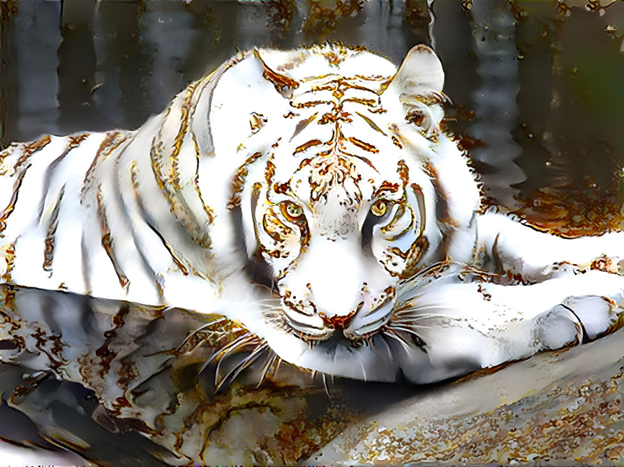 Golden White Tiger