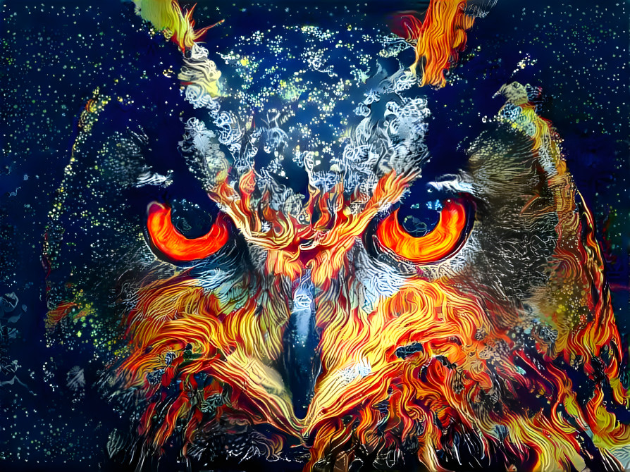Fire Owl