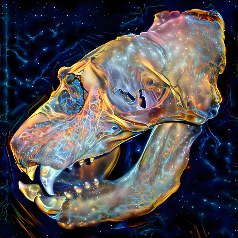 Universe Skull