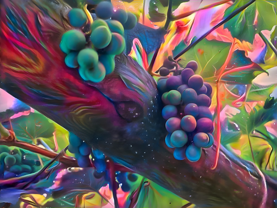 Grapes of Color