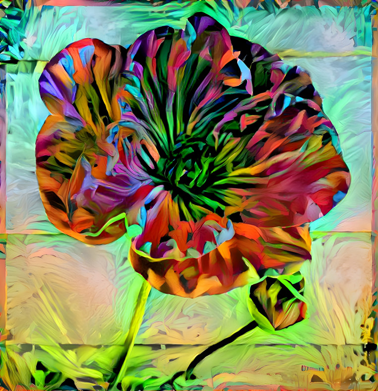 Poppy in Abstract