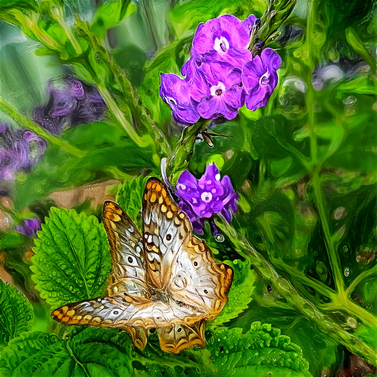 Happy Hour at Butterfly Wonderland