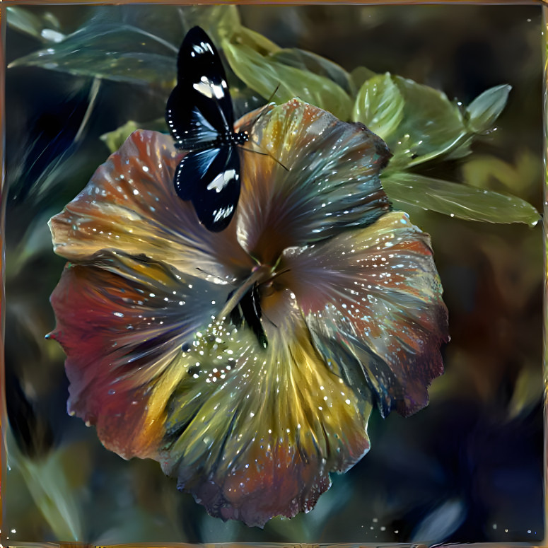 Butterfly on Hibiscus Flower