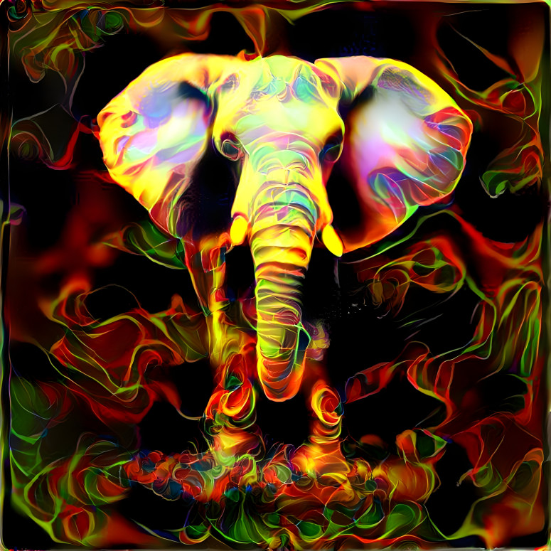 #2 éléphant