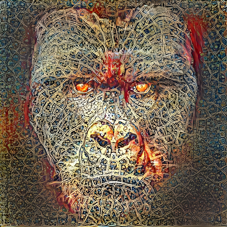 #8 Kong