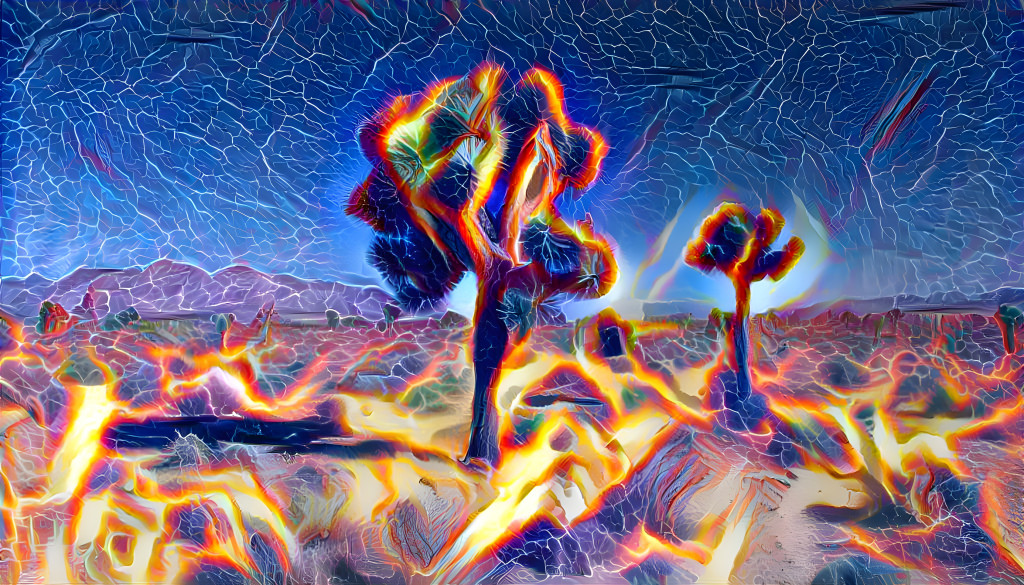 Joshua Trees, Death Valley
