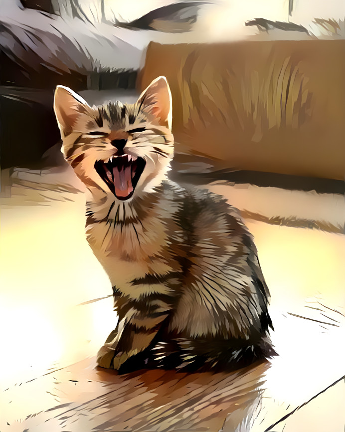Kitten Laughing 