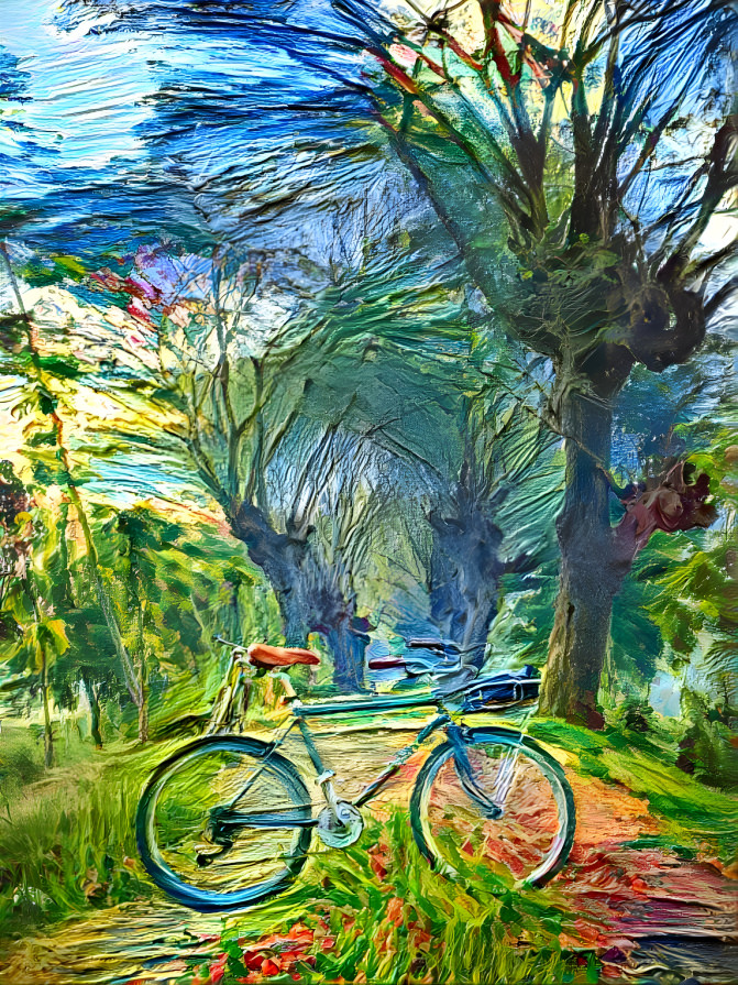 Village Bicycle