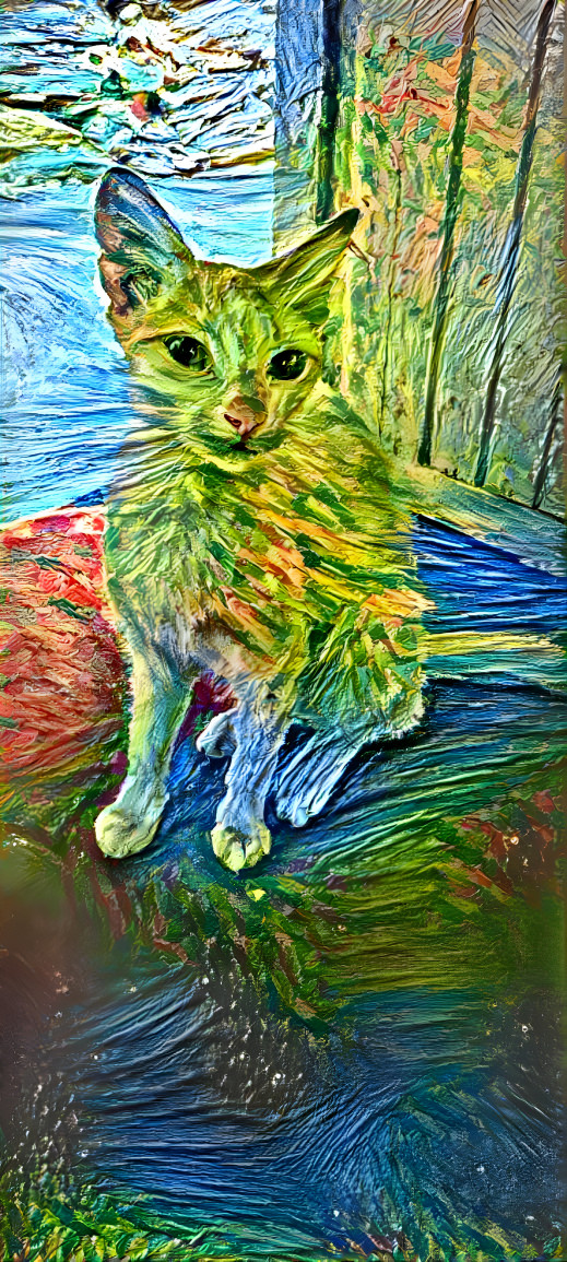 Cat art