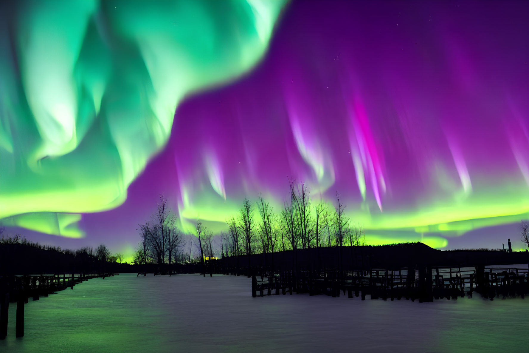 Northern Lights in Green and Purple Dance Over Snowy Landscape
