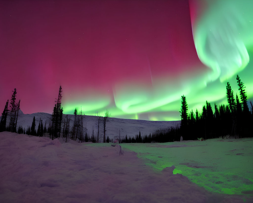 Pink and Green Aurora Borealis Over Snowy Landscape