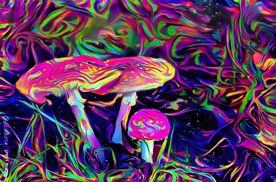 Rainbow mushrooms