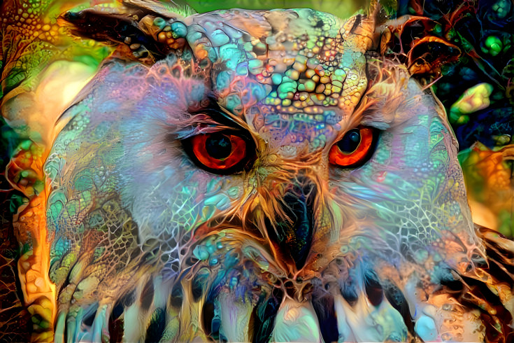 Owl With a Lizard Brain