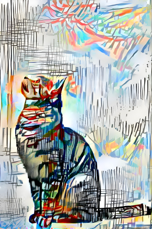 Blurred Cat