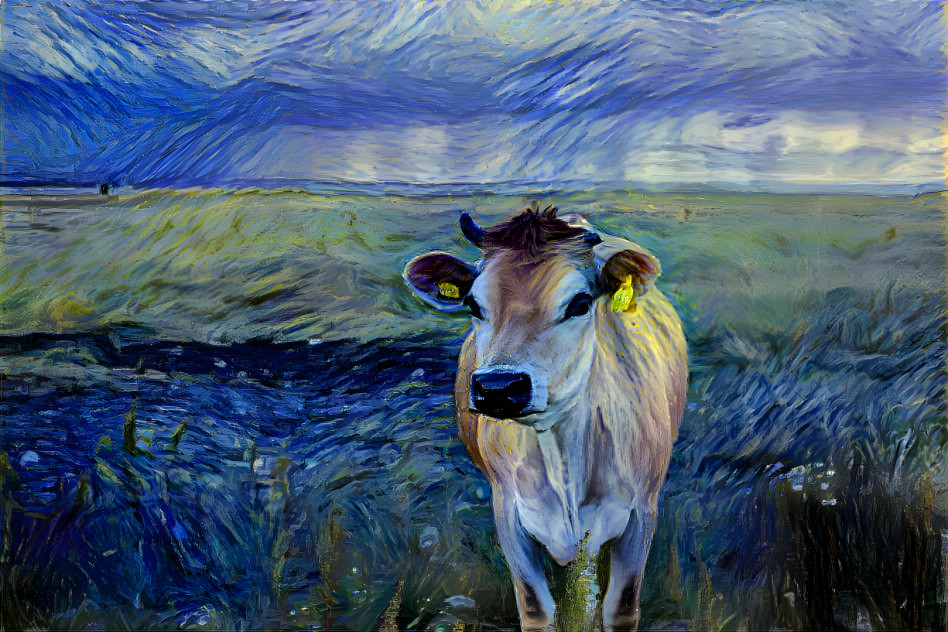 Starry Cow Nights