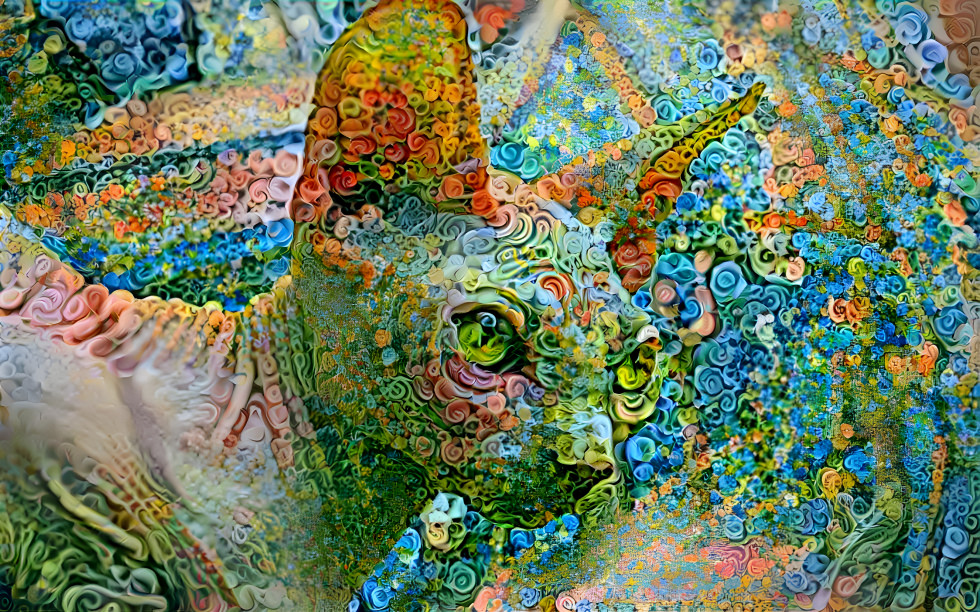 Untitled Sphinx Cat