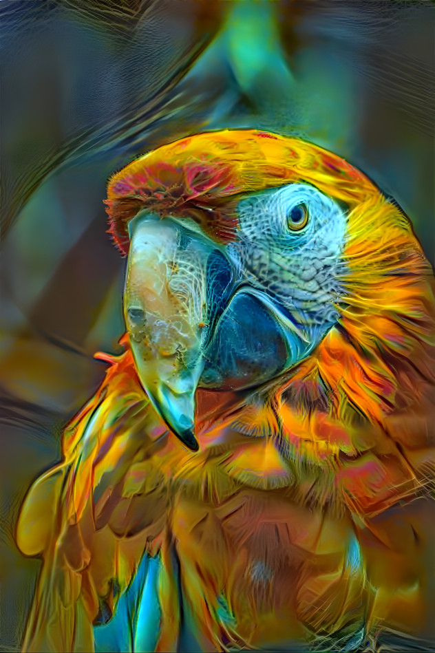 Mellow Macaw