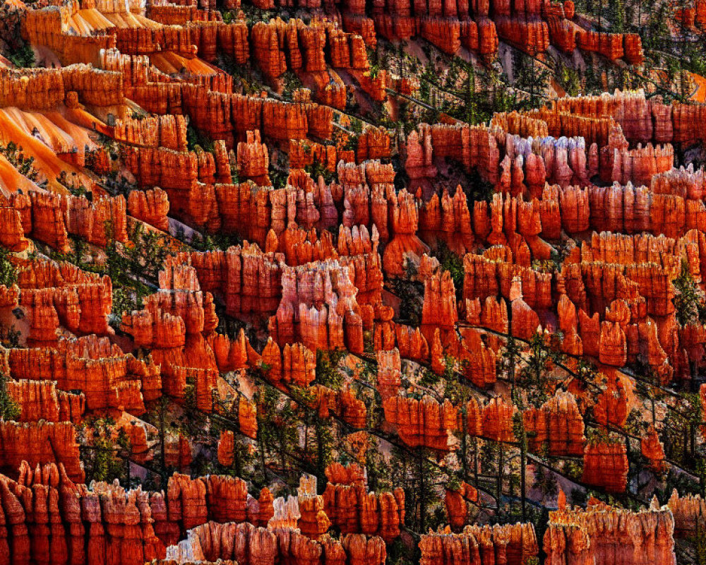 Vibrant Hoodoos in Bryce Canyon with Red, Orange, and White Colors