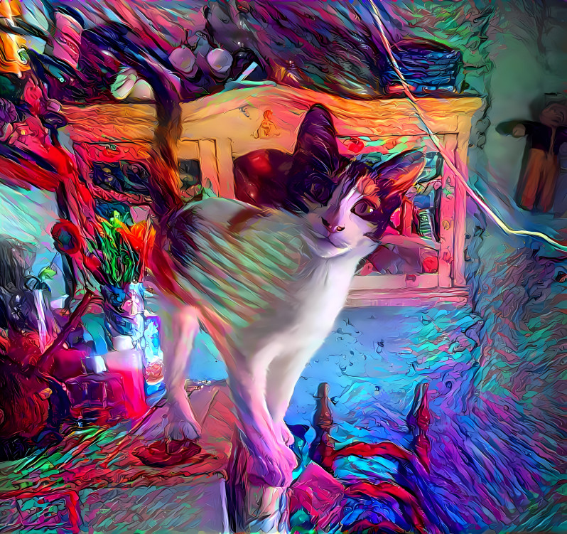 Psychodelic Cat