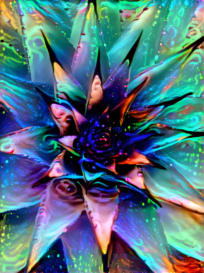 psychedelic cactus