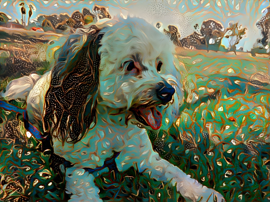 Harley McWoofs - Grassy Pup