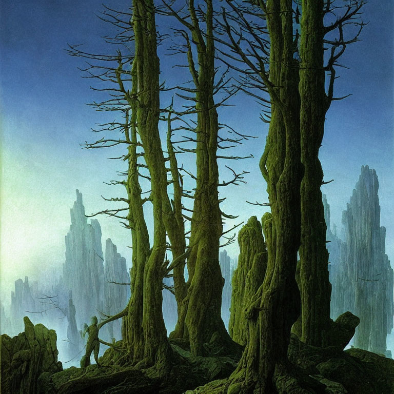 Enigmatic forest scene with tall trees and cloaked figure