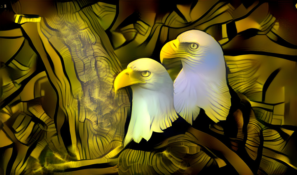 Eagles on nest