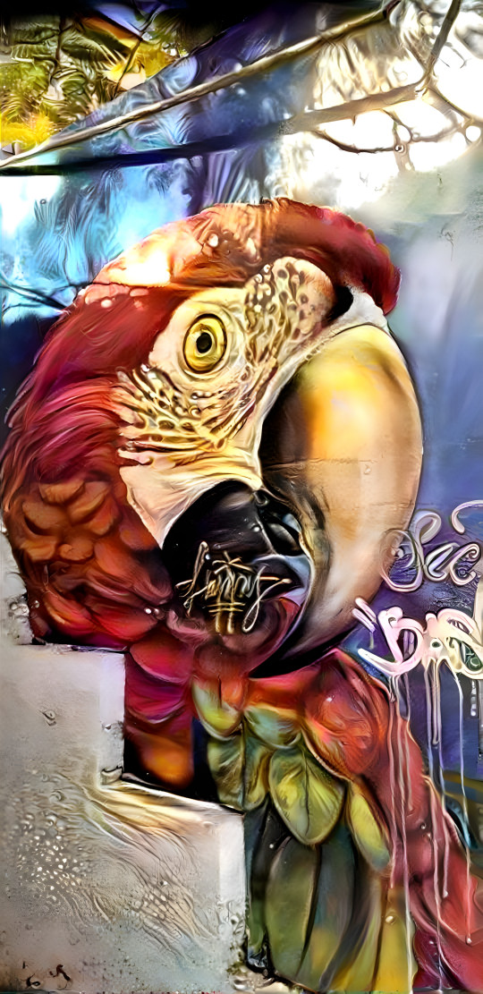 Parrot Graffiti 