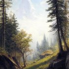Tranquil forest scene with sunlight filtering through tall trees by serene river