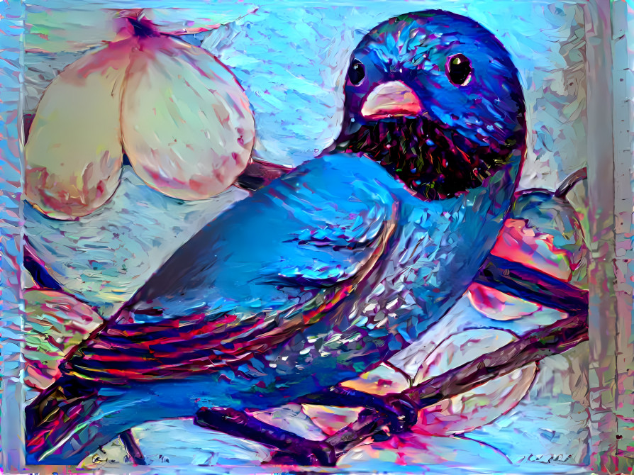 Matt Lee Mitchell Erin Hanson bird impressionist 