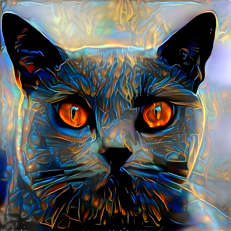 Glassy meow