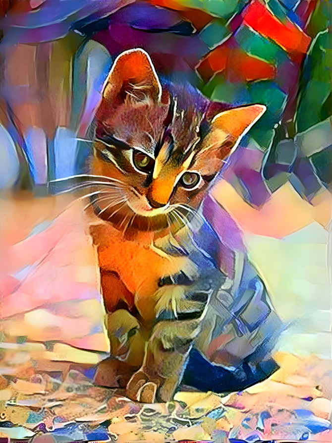Paint Cat