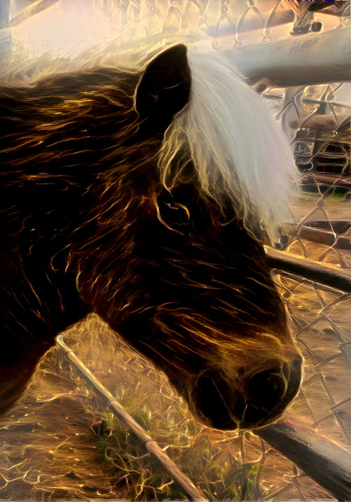 Pony Named Choco-Latte