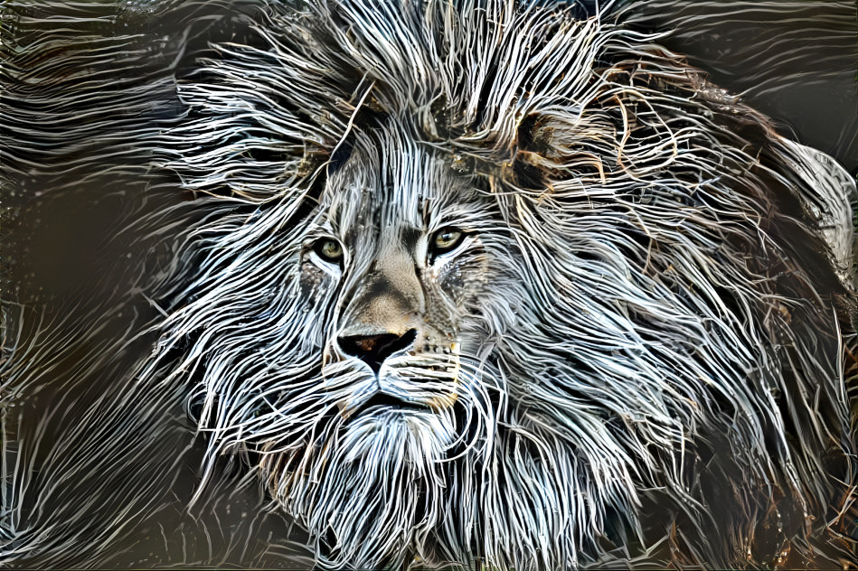 String lion