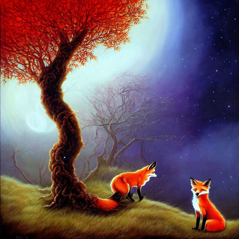 Twilight sky with two foxes under twisted tree