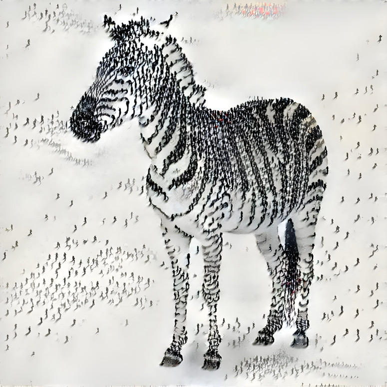 Pattern of Zebra