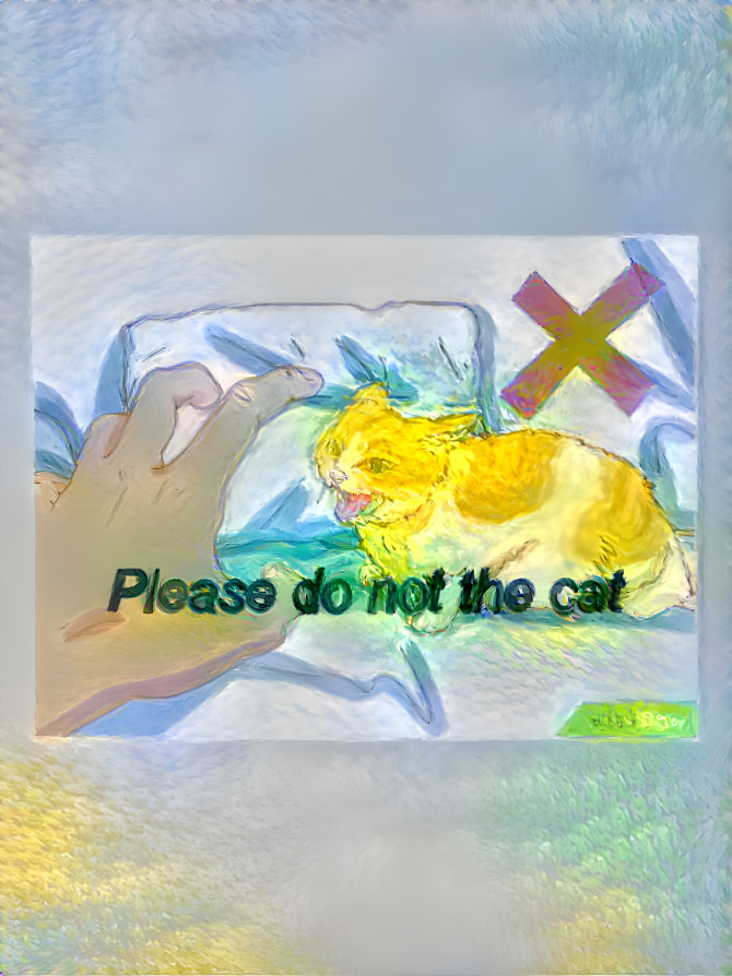 please do not the cat.