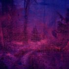 Enchanting mystical forest with colorful lantern lights and purple haze