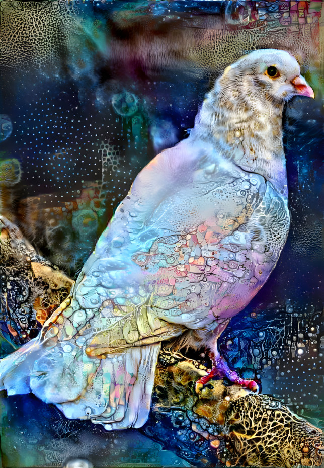 Dove of peace 2
