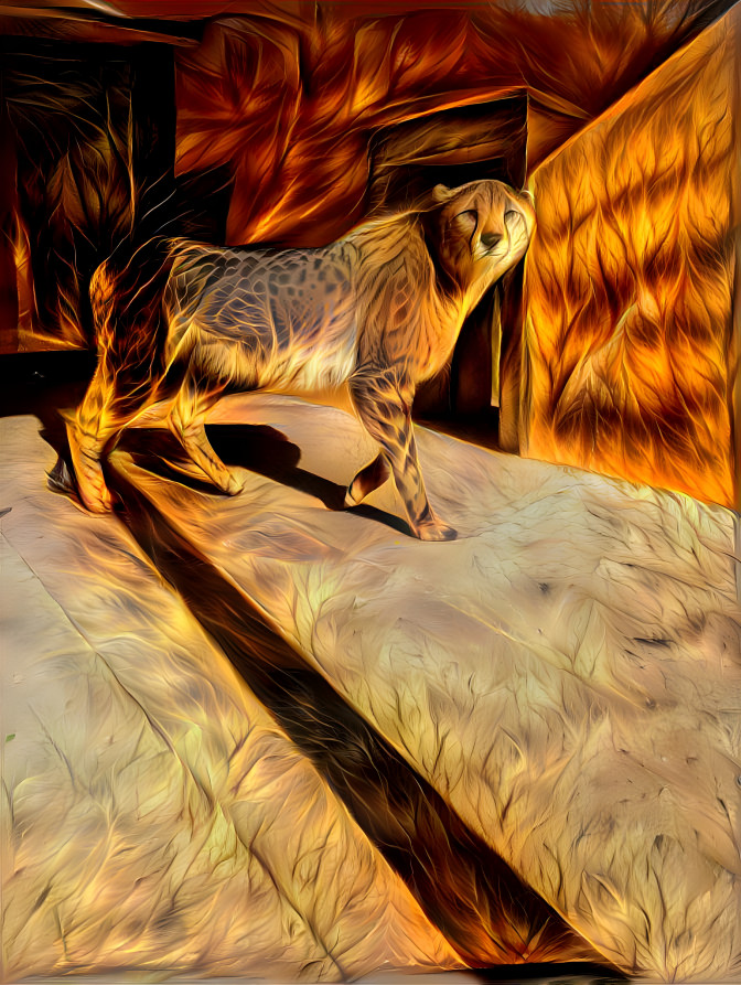Cheetah on fire