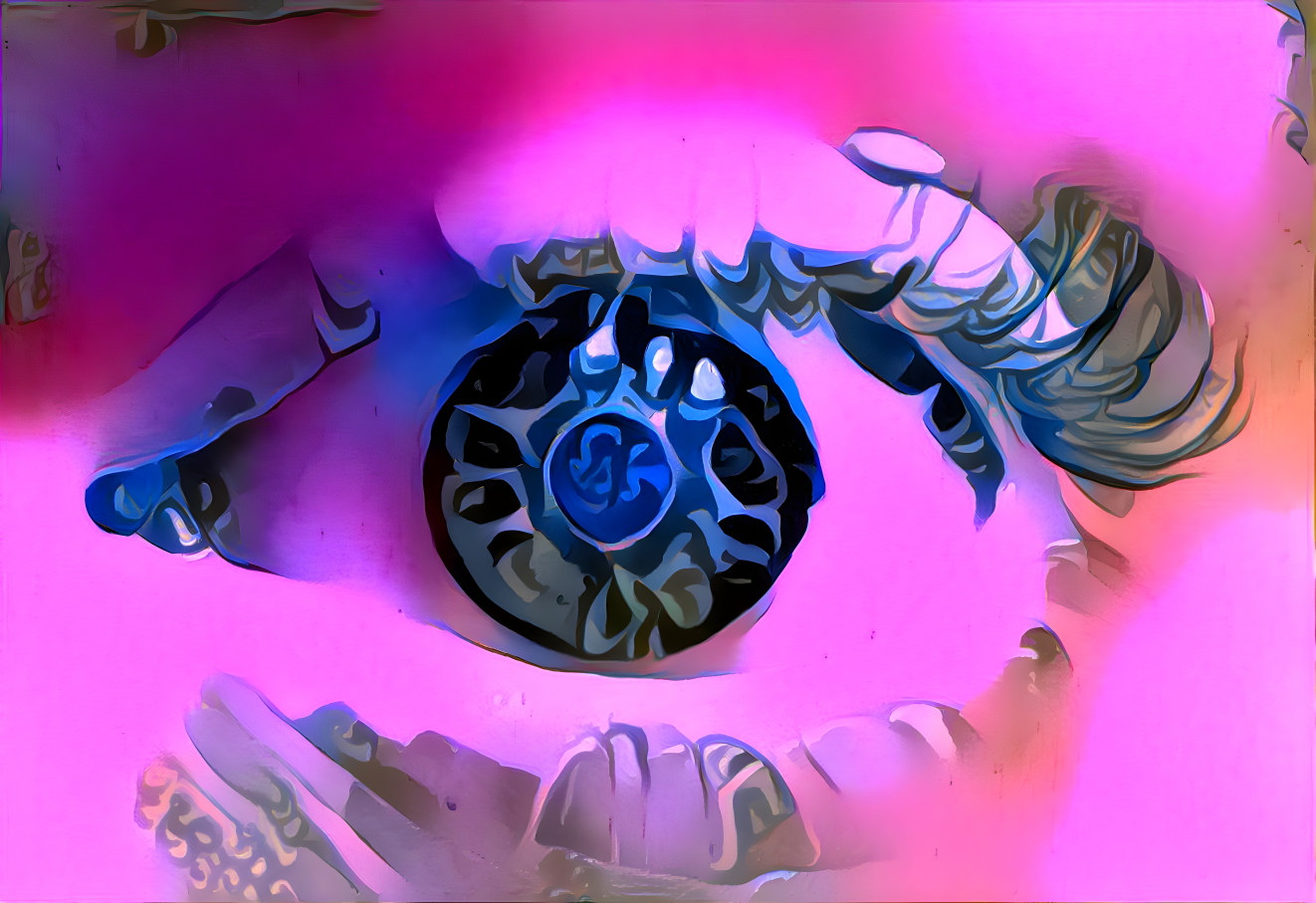 My Eye + Seacrest