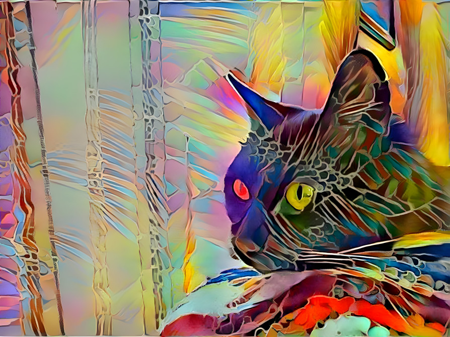 cat of many colors (2.1)