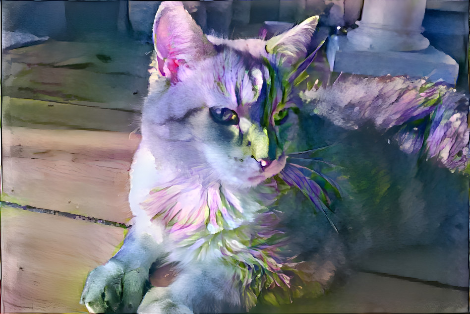 water color cat