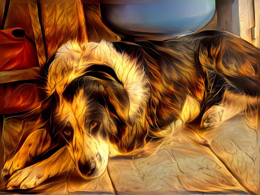 Flaming dog