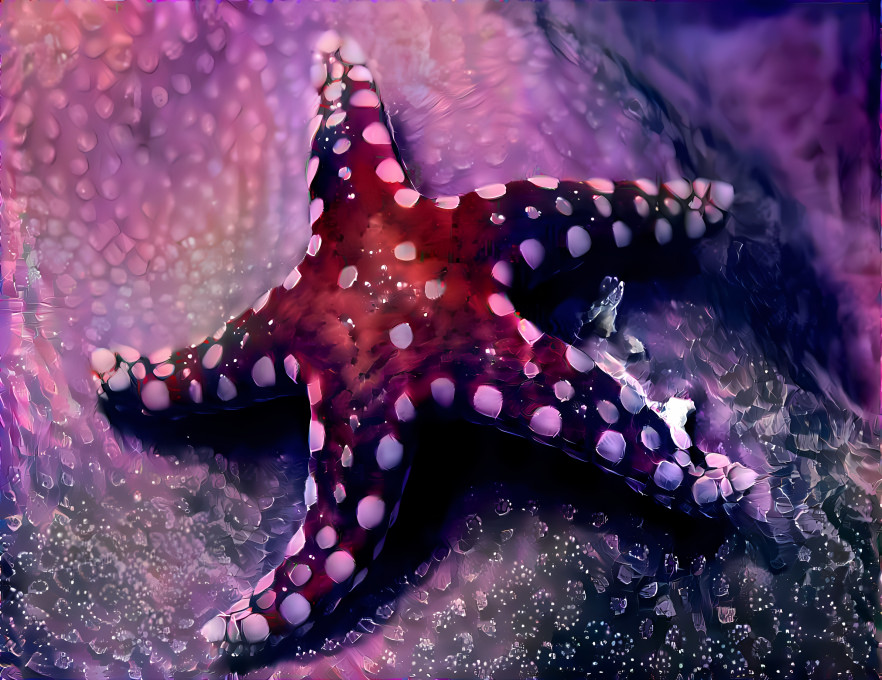 I'm a star. I'm a fish. I'm a starfish.
