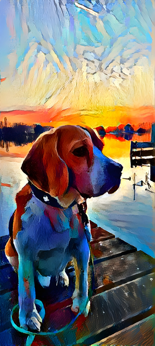 Sunset with the dog