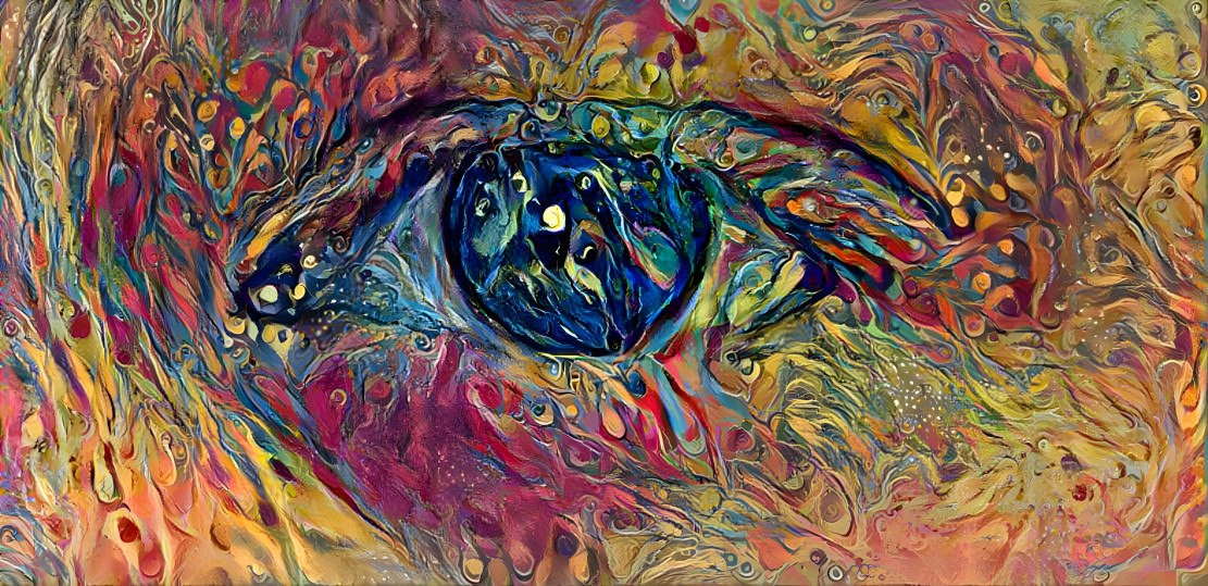 The eye of enchantments
