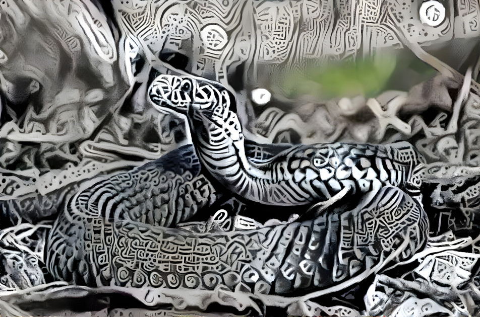 Aztec Snake