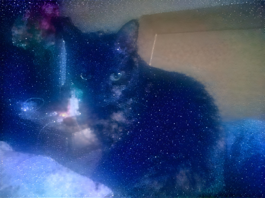 galaxy cat
