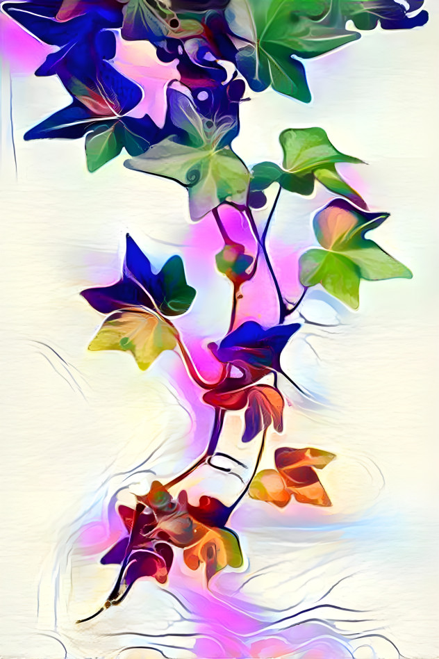 Rainbow ivy